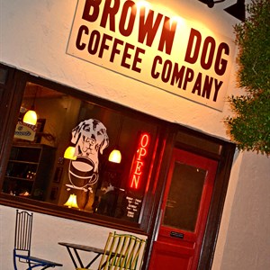 Brown Dog Coffee.jpg